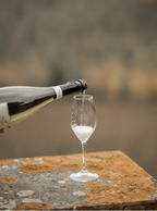 Il Prosecco Extra Dry D.O.C.