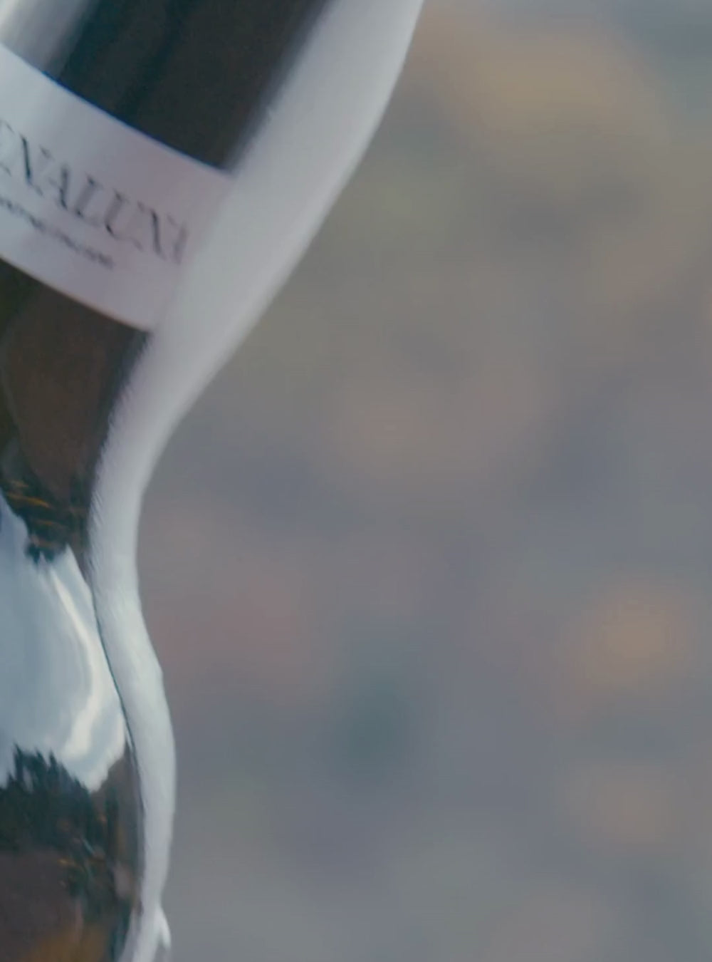 Prosecco Luna Cuvée